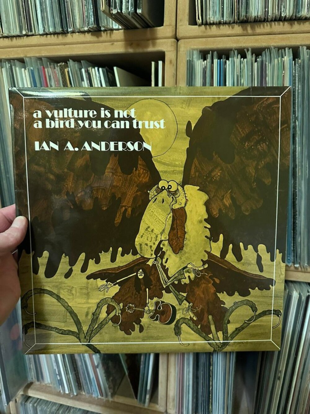 Ian A. Anderson LP